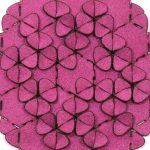 SCUBA>Fuchsia